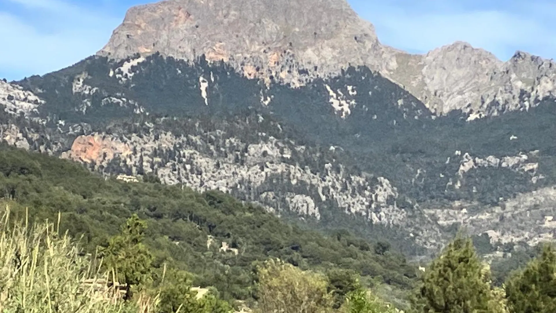 Sweet William Villa S'Arraco